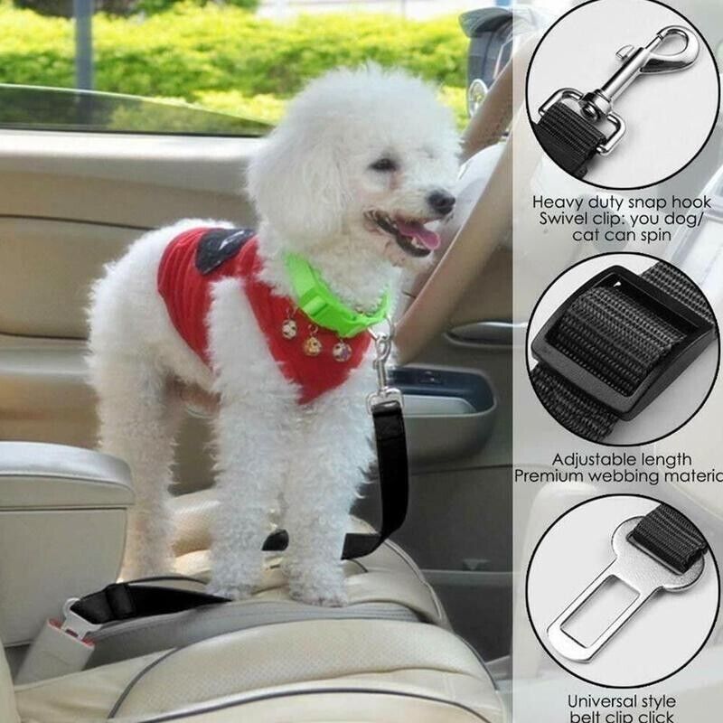 2-Pack Pet Safety Seatbelt — Adjustable Car Harness Lead