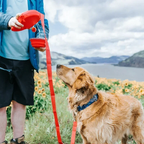 Multifunctional Dog Leash with Built-in Water Bowl