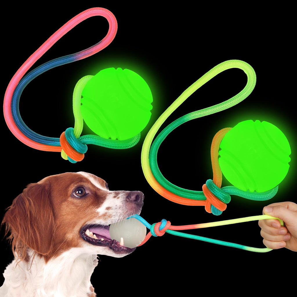 Hollowfly 2 Pcs Dog Training Ball on Rope Glow in The Dark Dog Ball 2.36 Inch Dog Rope Toys with 12 Inch Rope for Small Large Medium Dogs Glowing Interactive Dog Pull Reward Fetch Exercise Ball Toy