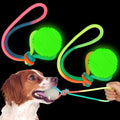 Hollowfly 2 Pcs Dog Training Ball on Rope Glow in The Dark Dog Ball 2.36 Inch Dog Rope Toys with 12 Inch Rope for Small Large Medium Dogs Glowing Interactive Dog Pull Reward Fetch Exercise Ball Toy