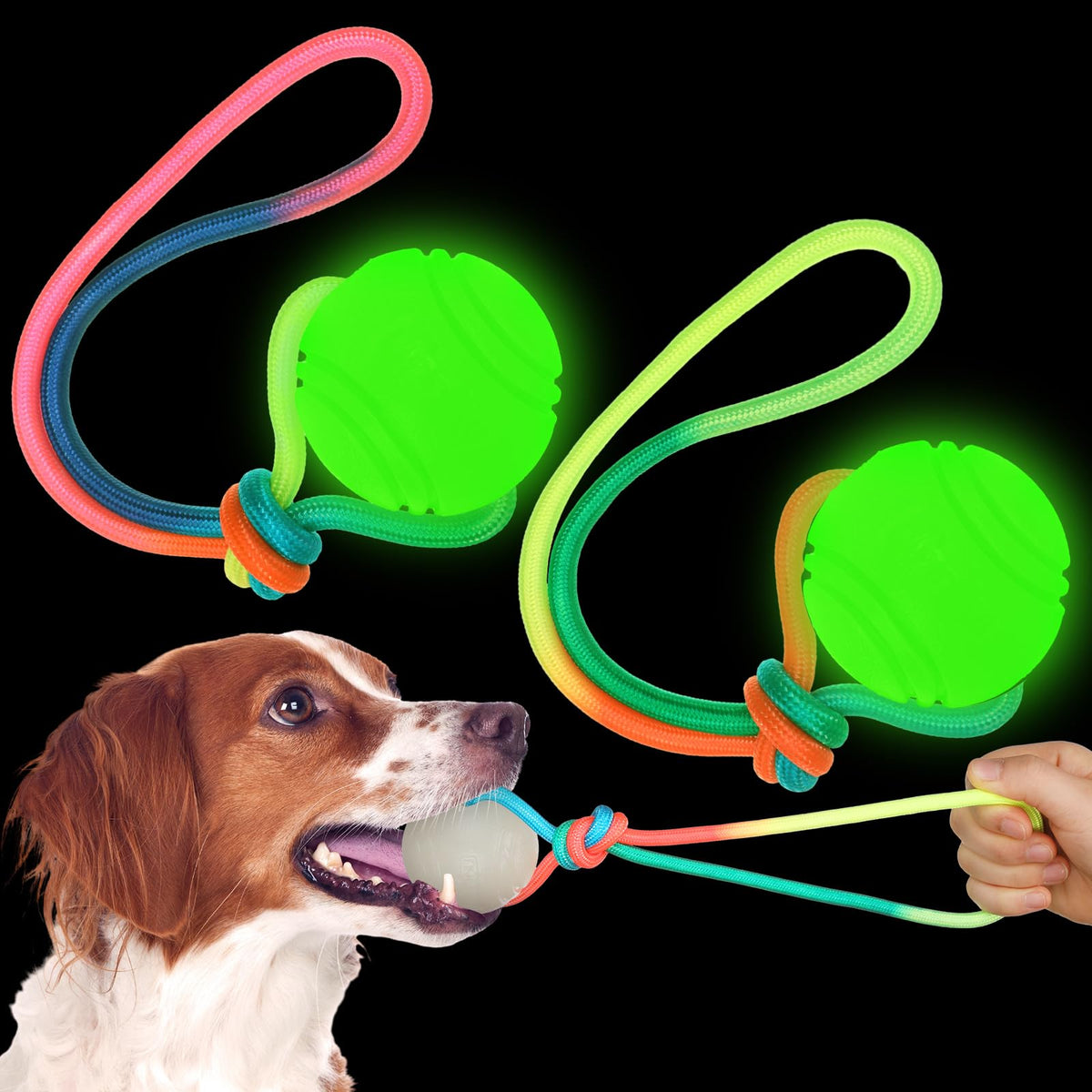 Hollowfly 2 Pcs Dog Training Ball on Rope Glow in The Dark Dog Ball 2.36 Inch Dog Rope Toys with 12 Inch Rope for Small Large Medium Dogs Glowing Interactive Dog Pull Reward Fetch Exercise Ball Toy