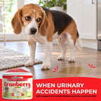 Cranberry for Dogs | Urinary Tract Support | 173 Scoops