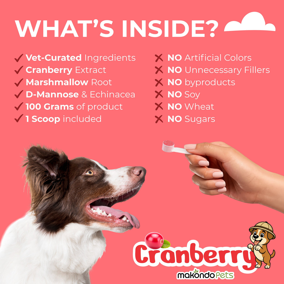 Cranberry for Dogs | Urinary Tract Support | 173 Scoops