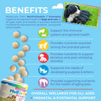 Prenatal Multivitamin for Dogs & Cats | 60 Tablets