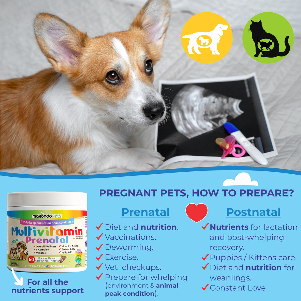 Prenatal Multivitamin for Dogs & Cats | 60 Tablets