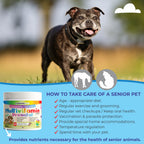 Prenatal Multivitamin for Dogs & Cats | 60 Tablets