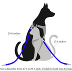 2-Pack Pet Safety Seatbelt — Adjustable Car Harness Lead