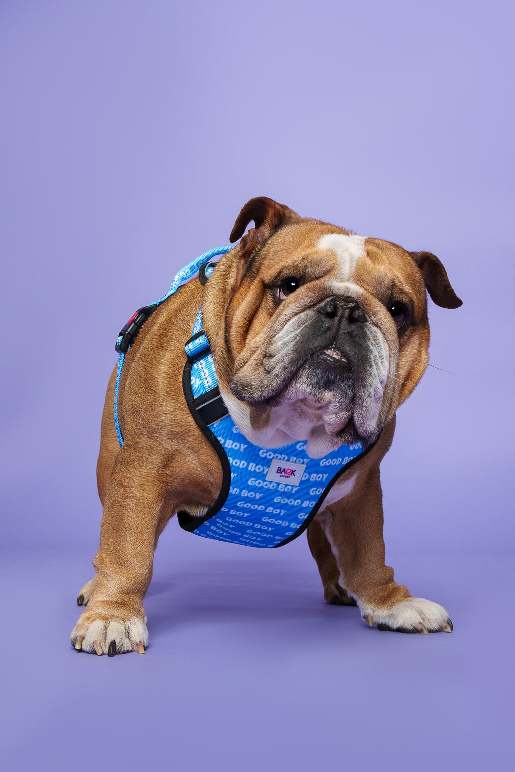 Good Boy Dog Harness