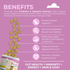 Dog Probiotics Digestive Enzymes | 120 Soft Chews
