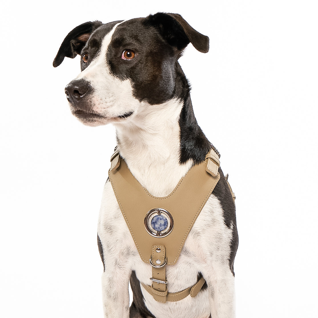 Good Vibration Dog Harness - Sand