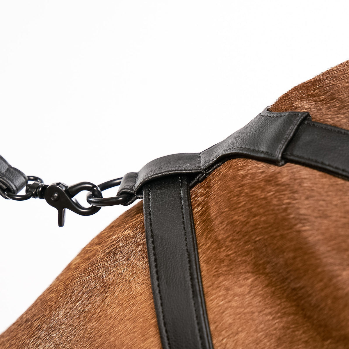 Good Vibration Dog Harness - Black
