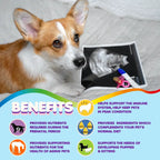 Multivitamin for Dogs & Cats. Prenatal Vitamins. 90 Tabs